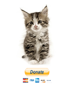 $50 will spay/neuter a cat